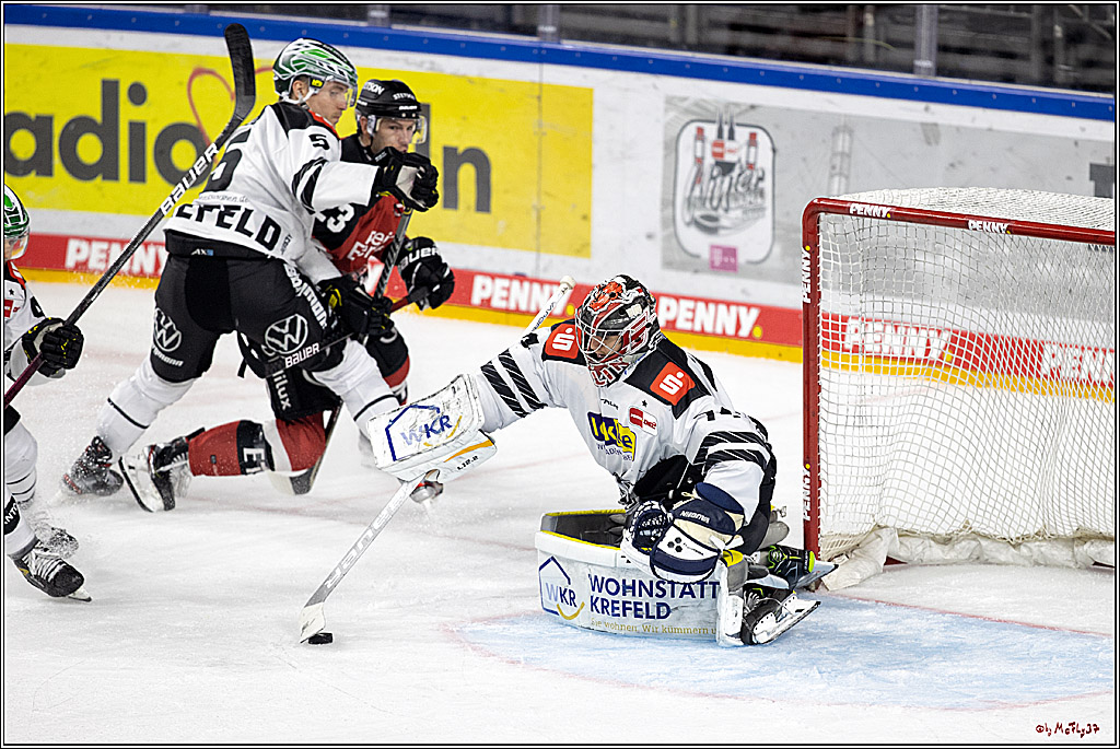 PENNY DEL;  Koelner Haie - Krefeld Pinguine; Koeln, 31.10.2021